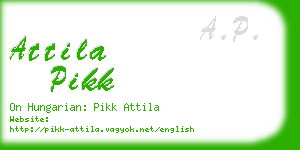 attila pikk business card